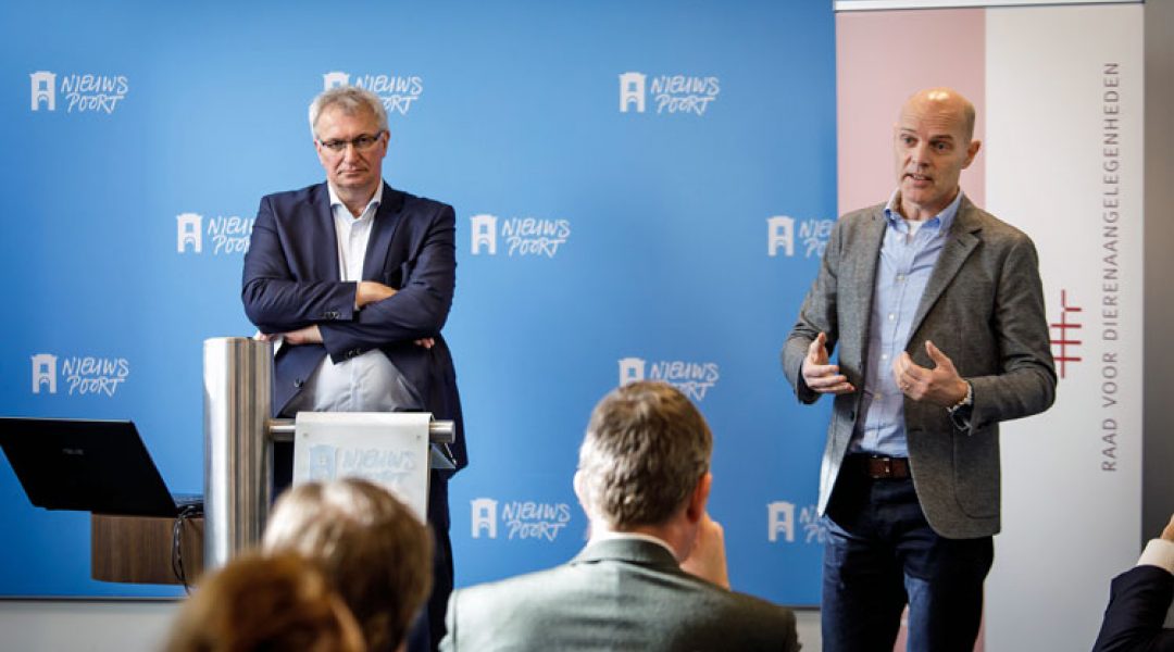Raad voor Dieren-aangelegen-heden presenteert zienswijze ‘Welzijn van vissen’