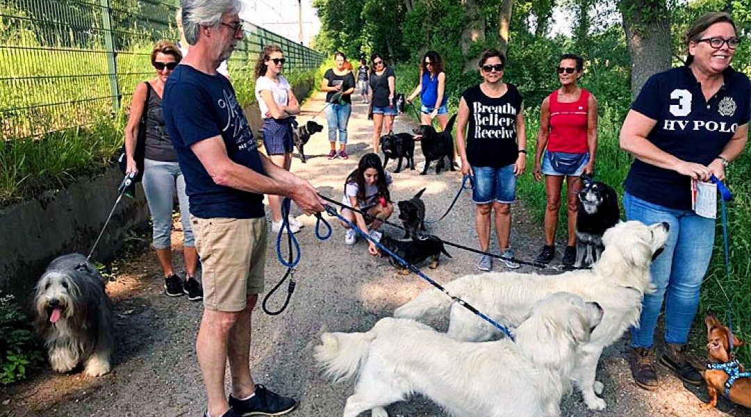 Met klanten op pad voor een PetsWalk