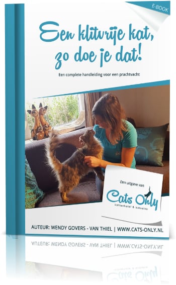 Cats Only ebook voorkant