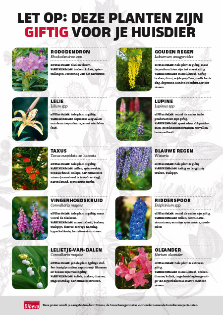 Giftige planten-poster
