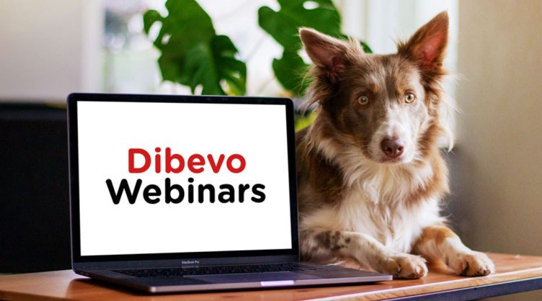 Inschrijving Dibevo Webinars geopend