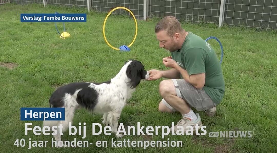 Dierenpension De Ankerplaats viert 40-jarig jubileum