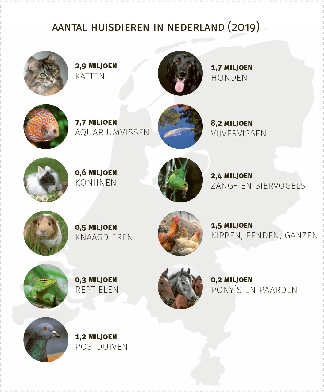 Aantal huisdieren in Nederland