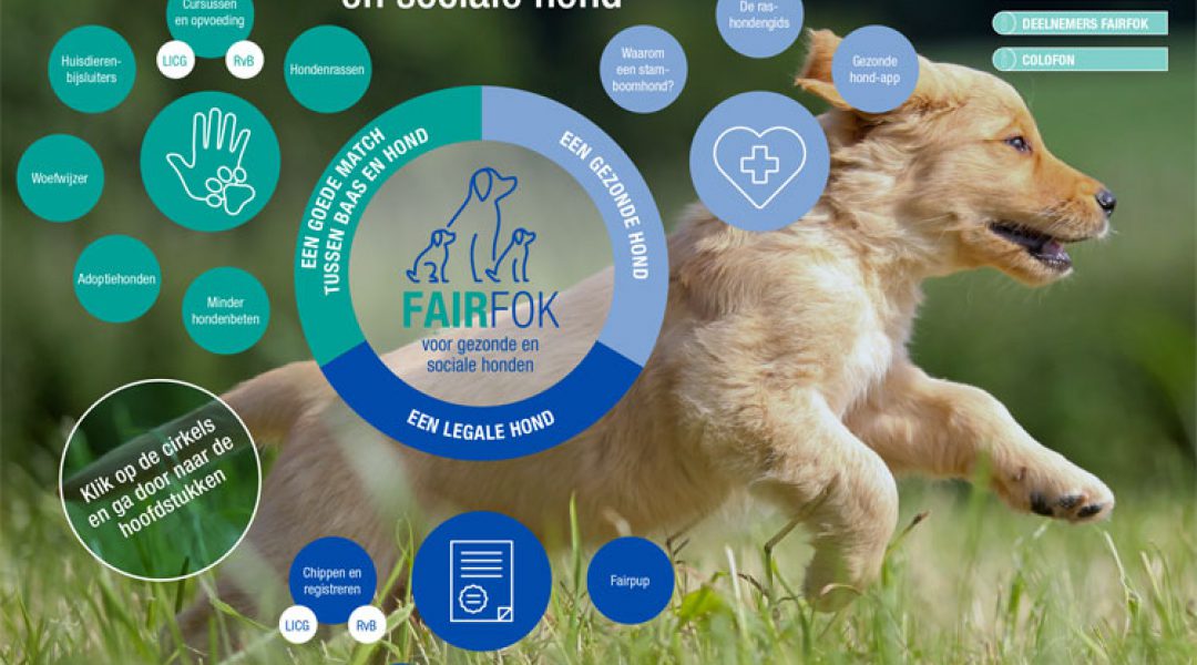Download de Fairfokbrochure ‘Zo kies je een gezonde en sociale hond’