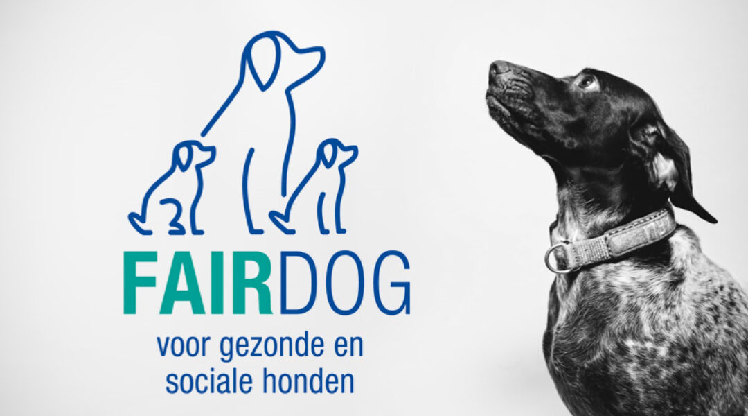 Oproep FairDog: help mee aan veilige marktplaats voor honden