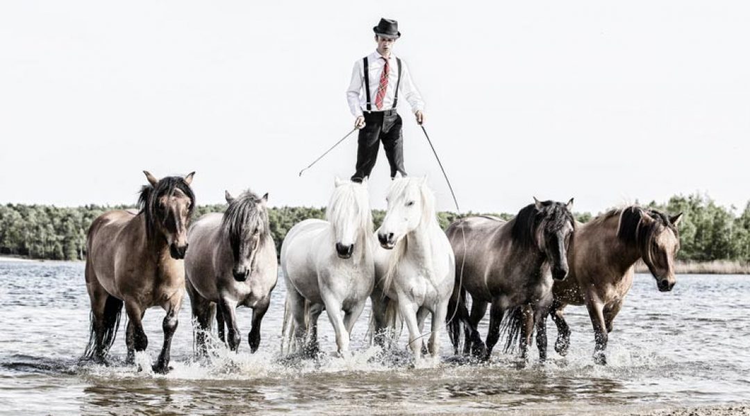 Animal Event viert 10de editie