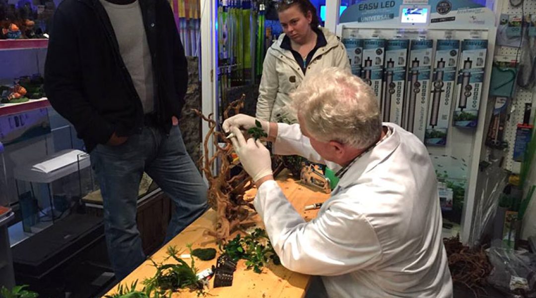 Dierenspeciaalzaak PJ Hoeben organiseert Aquascaping Day