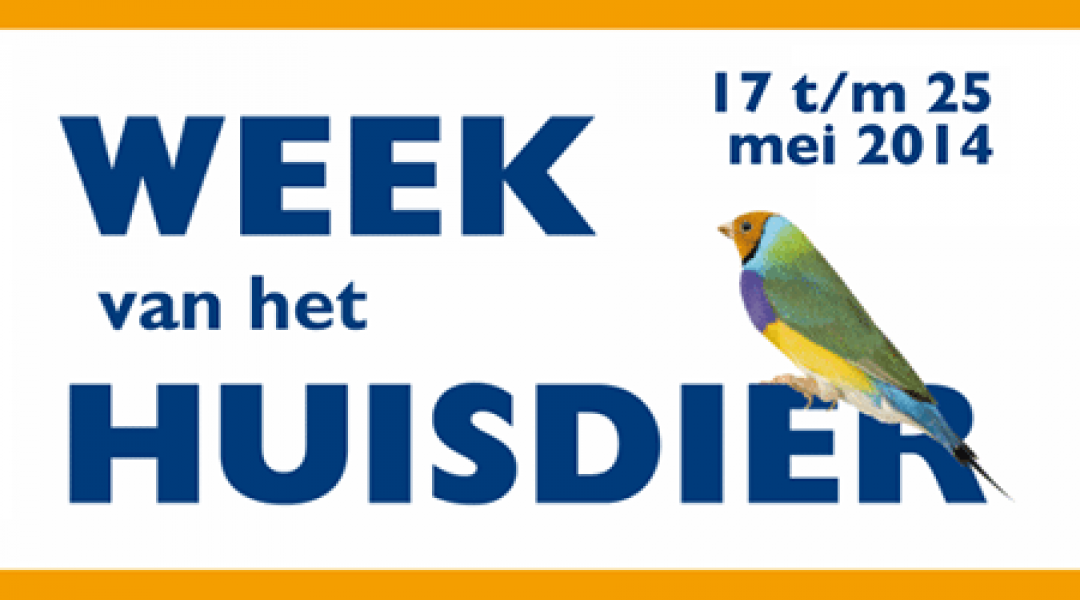 Thema Week van het Huisdier: voorkomen van impulsaankopen