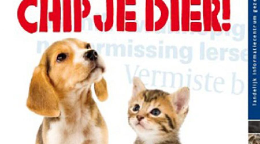Chippen van katten: niet verplicht, wel belangrijk