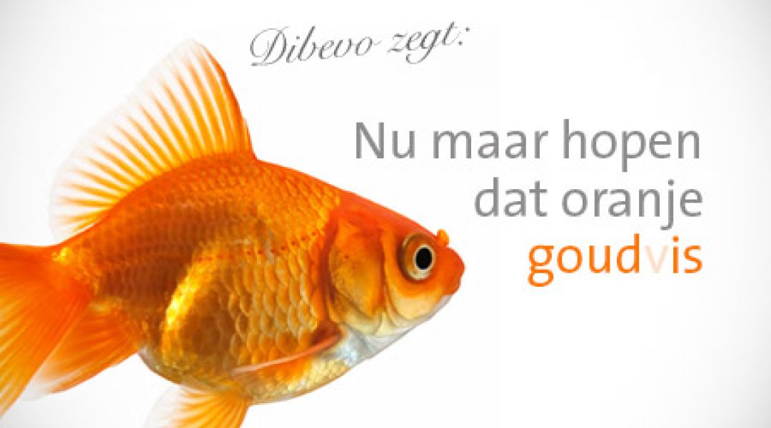 Inhaken op Oranje: wat mag wel en wat mag niet?