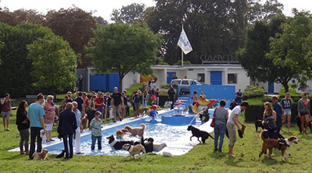 212 viervoeters in Dordts tweevoeterzwembad