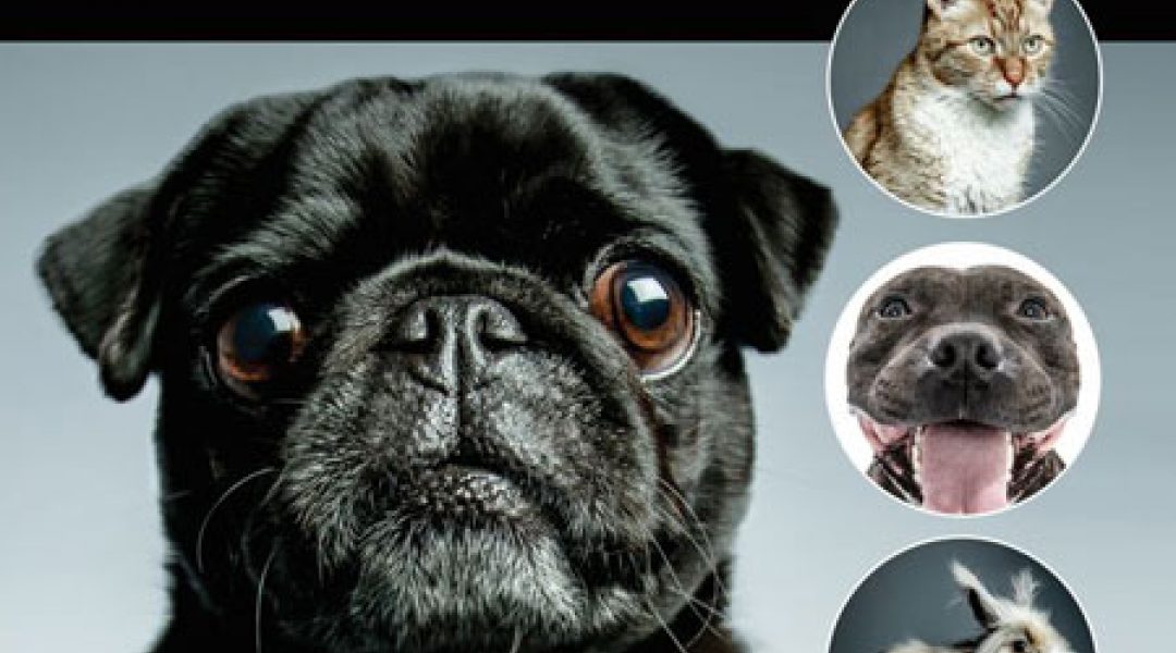 Gratis fotoshoot voor het goede doel