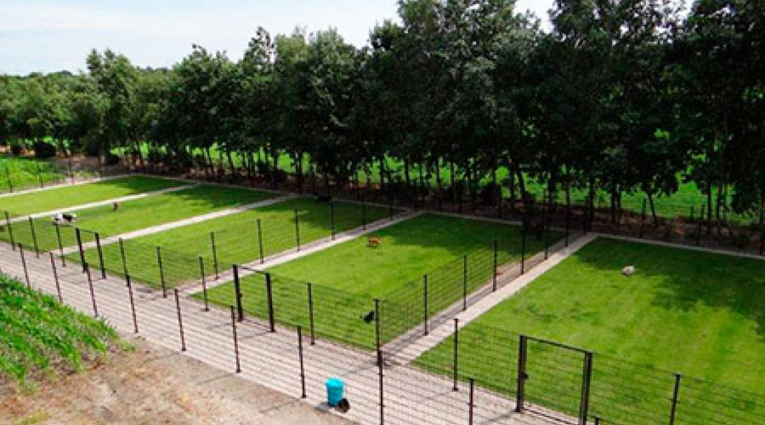Open dag Dierenpension Lorinahoeve op 10 mei