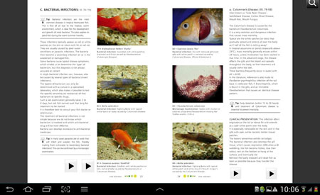 Fish Doctor-app: nieuwe manier om visziekten gemakkelijk te identificeren