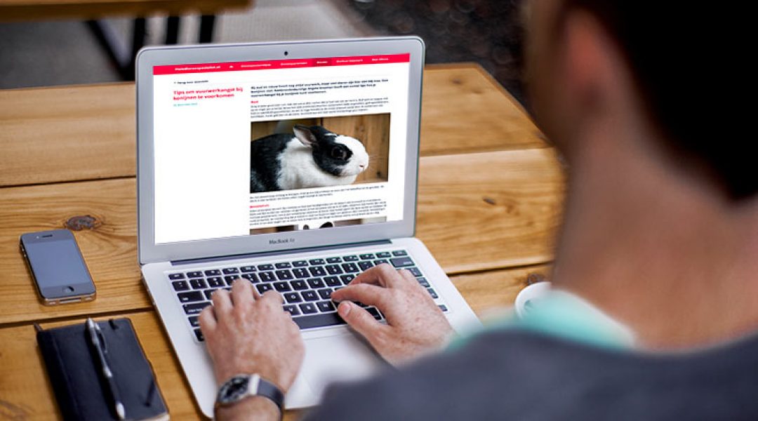 Promoot je bedrijf met een gastblog op Huisdierenspecialist.nl
