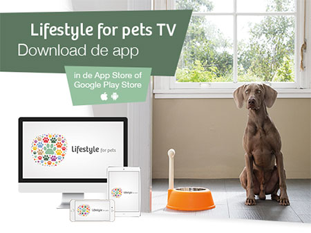 Lifestyle for pets