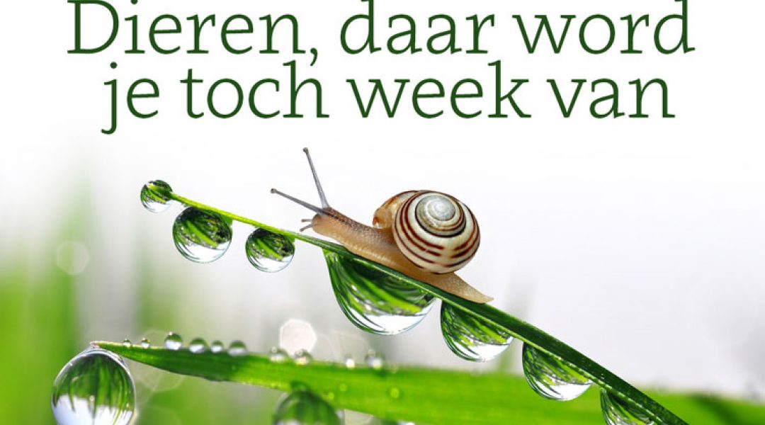 Maak van Dierendag een Dierenweek