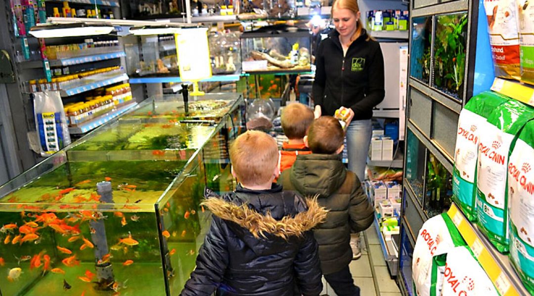 Dierspecialist Haspels introduceert Dierspecialist-4-Kids