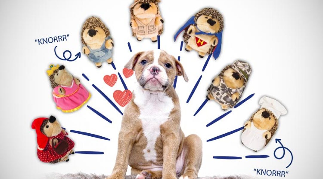 Hofman Animal Care haalt de Heggies naar Nederland!