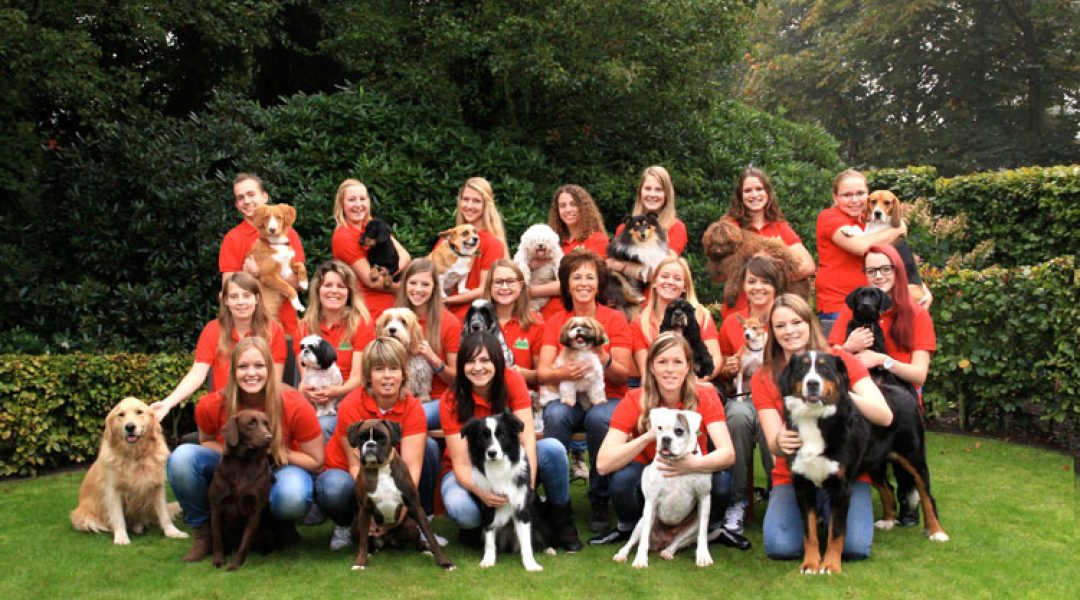Hondenpension De Lindenberg beste dierenpension van Breda en omstreken
