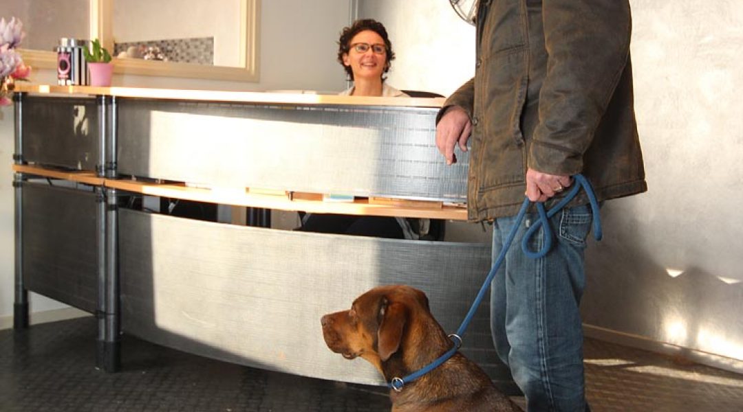 Opvang voor honden tijdens de Dibevo-Vakbeurs
