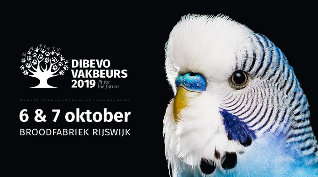Dibevo-Vakbeurs 2019 toont de ultieme verleiders