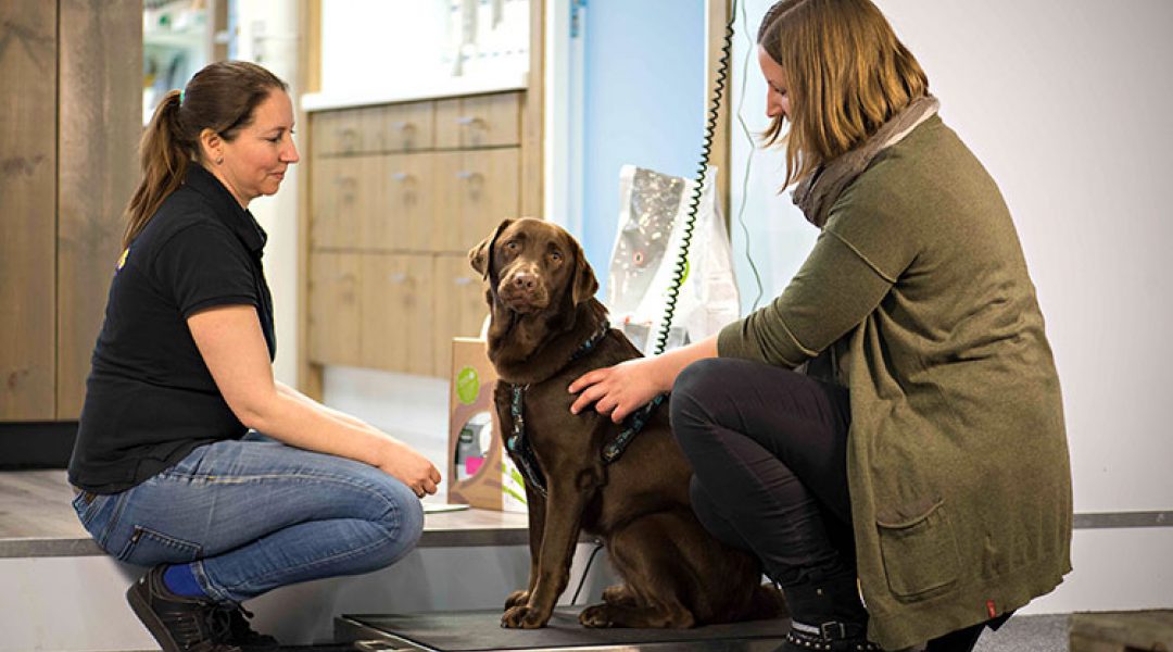 Prins start opleiding Health Coach