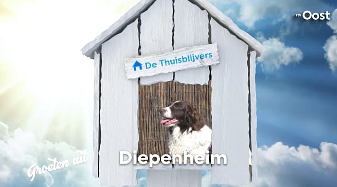 Zomerserie De Thuisblijvers bij Dierenhotel Markvelde