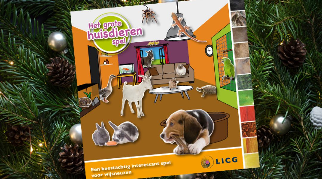 Huisdierenspel (leuke weggever voor de feestdagen) nu verkrijgbaar voor actieprijs