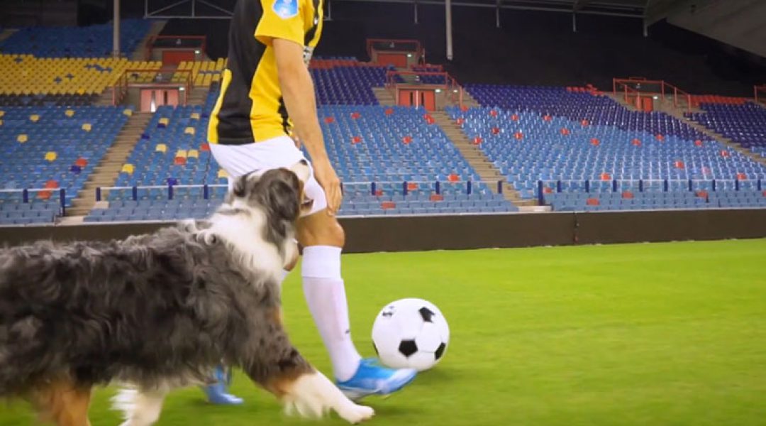 Prins en Vitesse presenteren ‘The Battle’