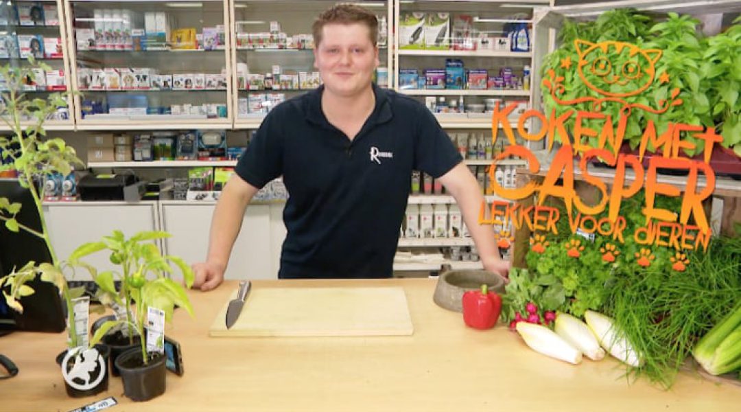 Casper kookt in de dierenspeciaalzaak