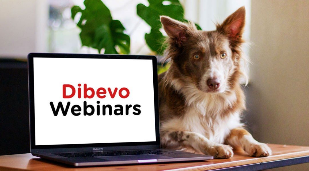 Dibevo Webinars ‘Bouw aan je merk!’ en ‘Adverteren op social media’