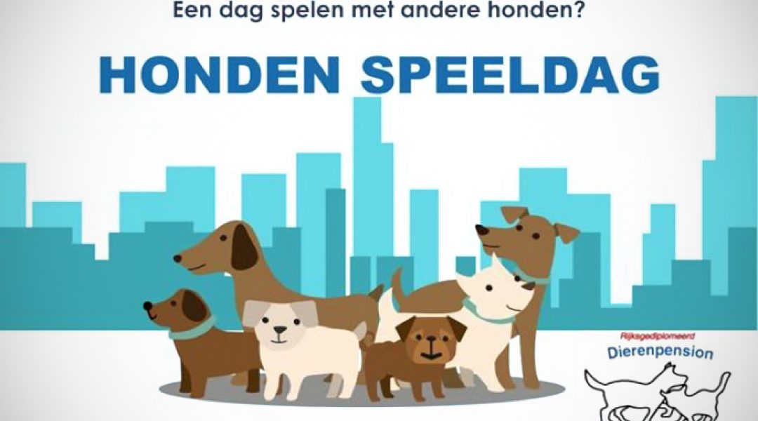 Hondenspeeldagen bij Dierenpension Drachten