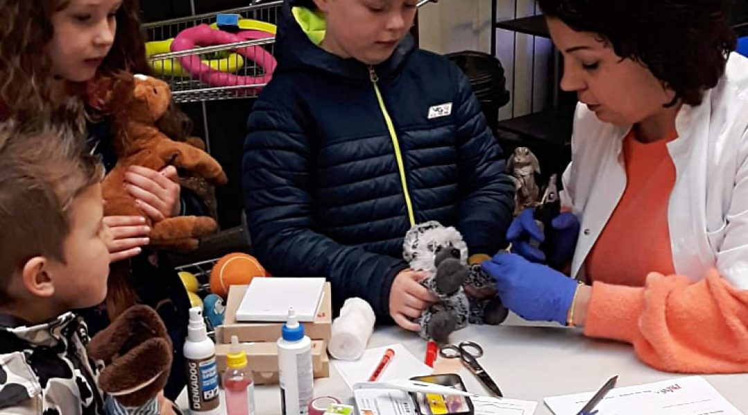 ‘Knuffeldokter’ leert kinderen over goede verzorging huisdier