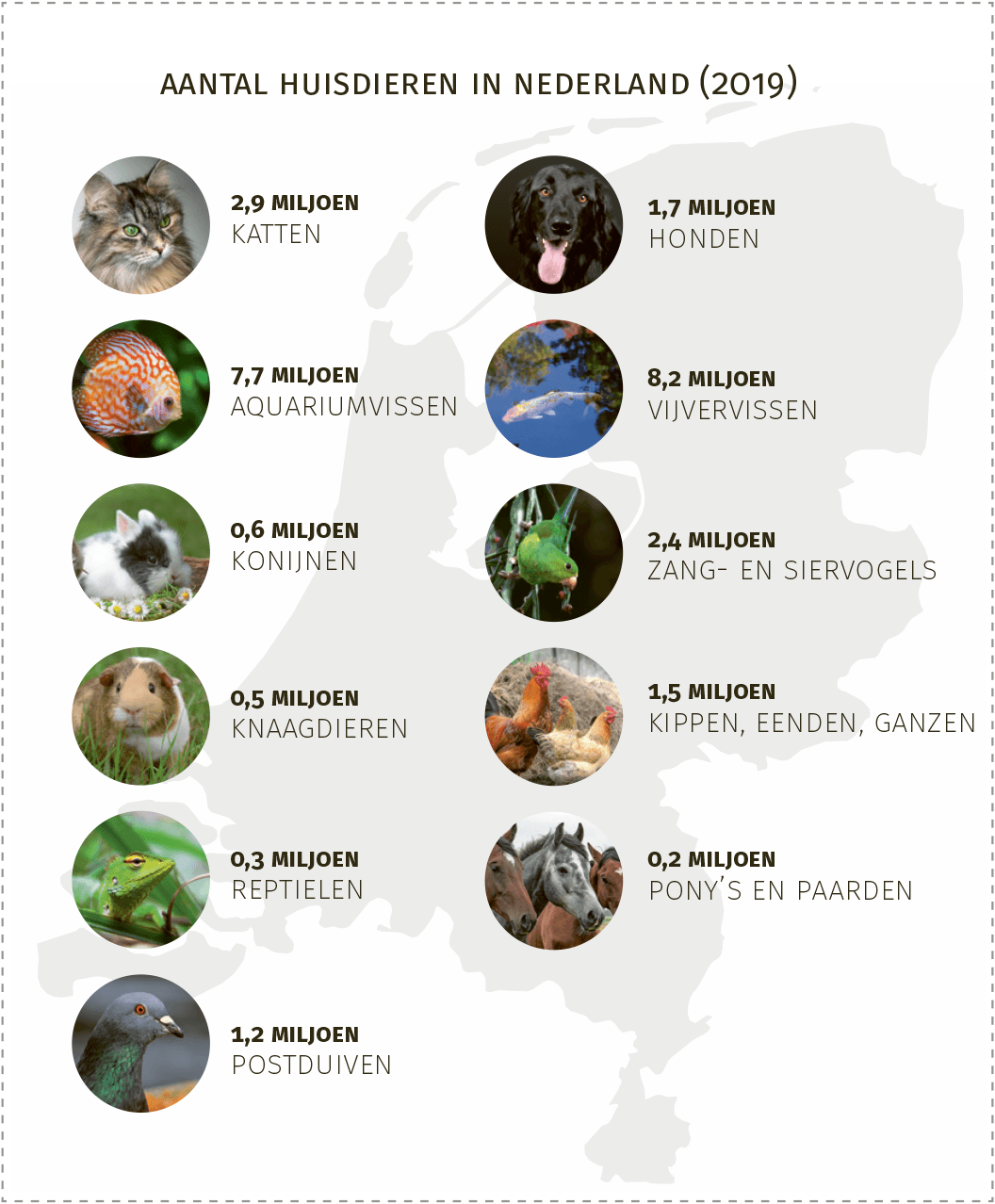 Nieuwe cijfers: meer dan 27 miljoen huisdieren in Nederland -