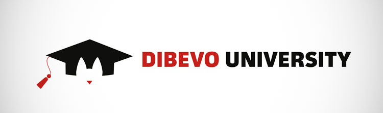 Beeldmerk Dibevo University