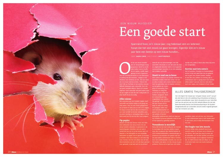 Vakblad 1 - 2021