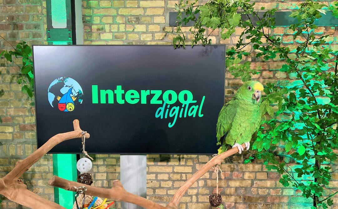 Interzoo.digital