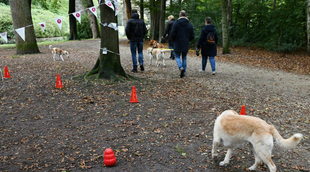 HuisdierenApp organiseert goede doelen-wandeling