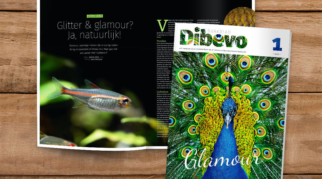 Dibevo-Vakblad 1/2022: glamour in de dierenwereld