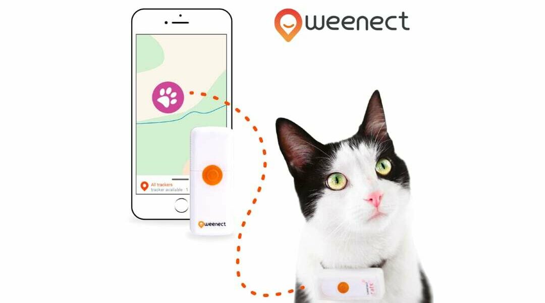 Weenect GPS Tracker, voor dieren die een beetje (te) ver gaan