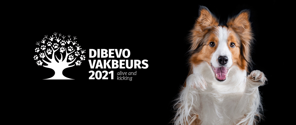 Beeldmerk Dibevo-vakbeurs 2021