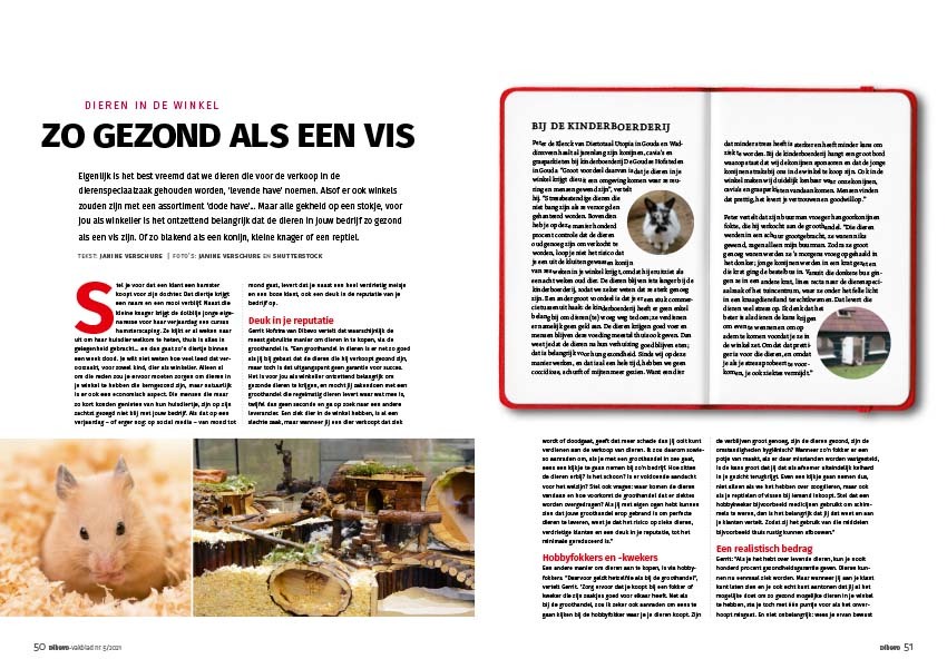 Dibevo-Vakblad 5