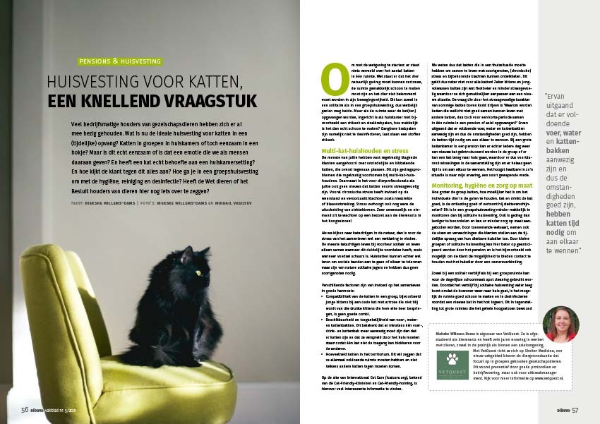 Dibevo-Vakblad 5