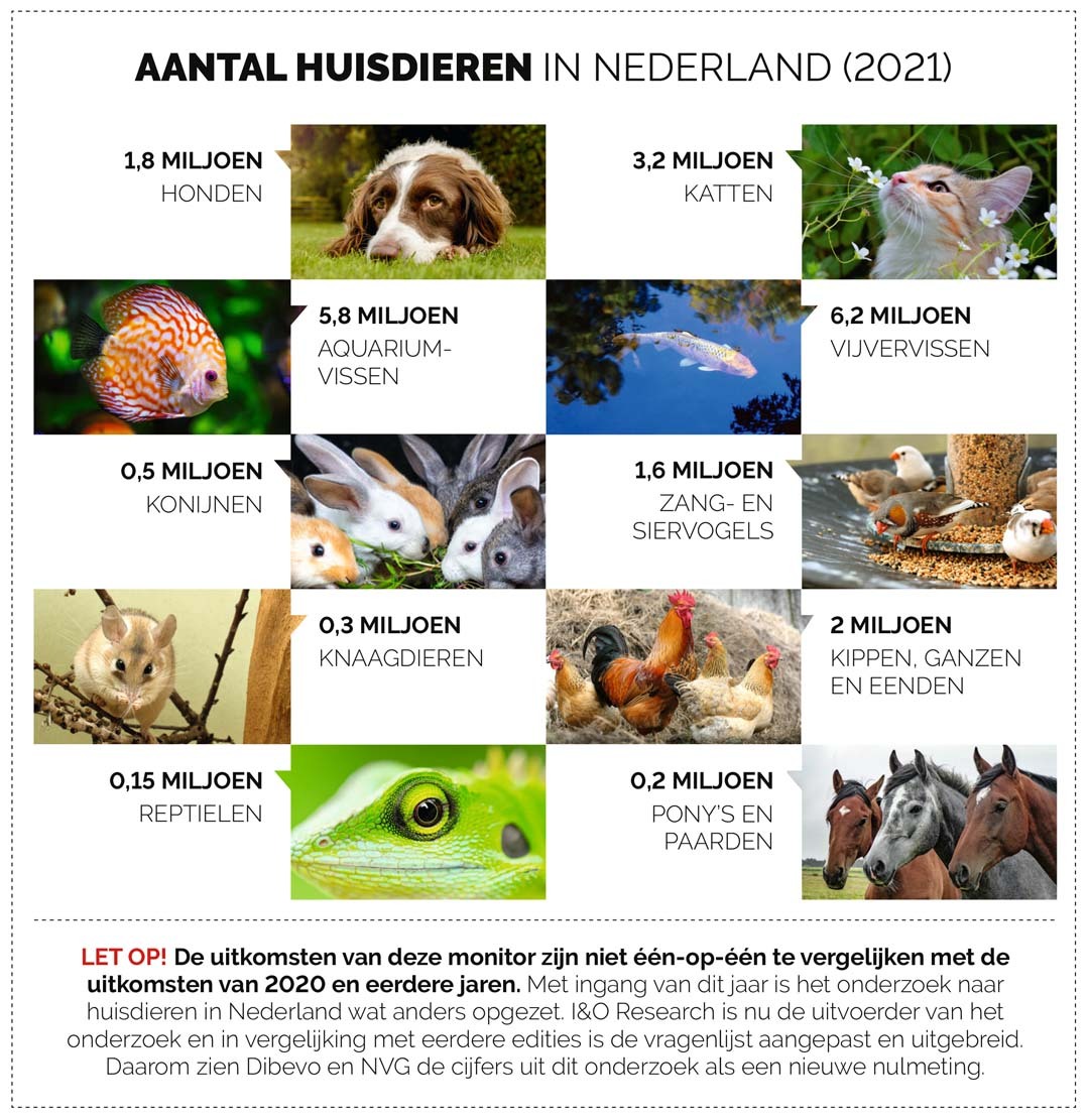 Aantal huisdieren in Nederland (2021)