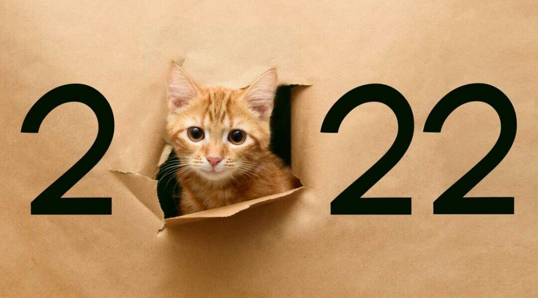 Hallo 2022!