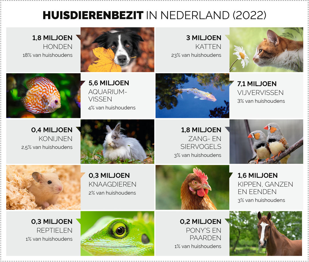 Huisdierbezit in Nederland in 2022