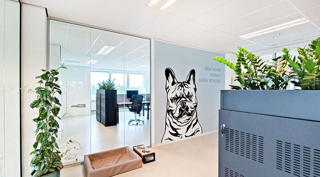 Nieuw kantoor Hellopets: voor het team én kantoorhonden