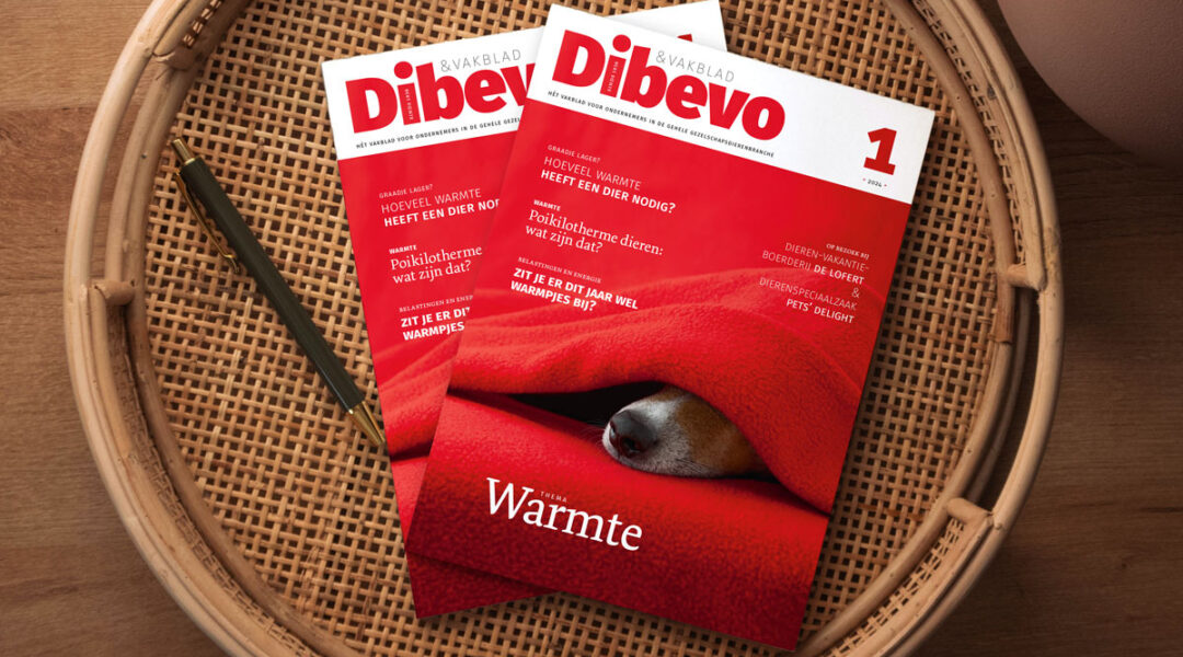 Dibevo-Vakblad 1/2024: themanummer ‘Warmte’