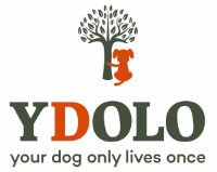 Ydolo - Distributeur v Dibaq Sense